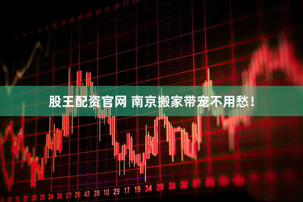 股王配资官网 南京搬家带宠不用愁！