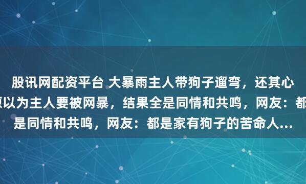 股讯网配资平台 大暴雨主人带狗子遛弯，还其心可诛不给孩子打伞，原以为主人要被网暴，结果全是同情和共鸣，网友：都是家有狗子的苦命人...
