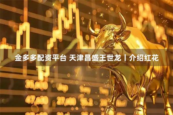 金多多配资平台 天津昌盛王世龙丨介绍红花