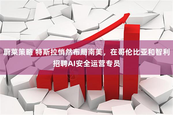 蔚莱策略 特斯拉悄然布局南美，在哥伦比亚和智利招聘AI安全运营专员