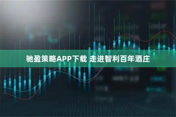 驰盈策略APP下载 走进智利百年酒庄